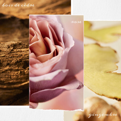 VAPORISATEUR SANS RINÇAGE MULTIFONCTION COLOR FANATIC - Soins capillaires | L'Oréal Partner Shop